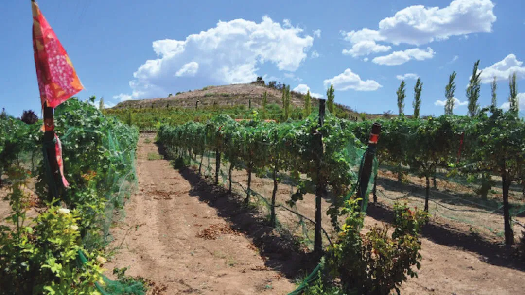 Photo Credit: AZ Wine Lifestyles Magazine